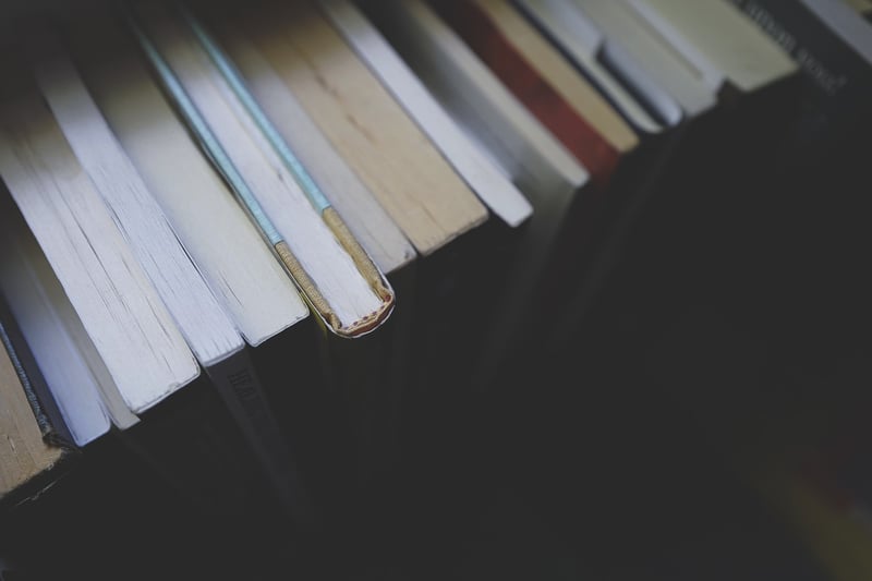 Reading a Book
